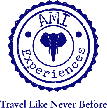 AMI Experiences